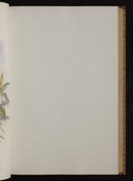 Monograph of the Trochilidae, 1:108