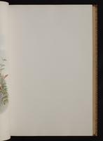 Monograph of the Trochilidae, 1:102