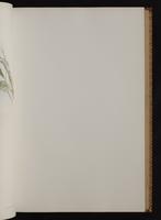 Monograph of the Trochilidae, 1:96