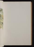 Monograph of the Trochilidae, 1:84