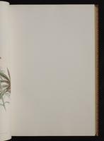 Monograph of the Trochilidae, 1:78