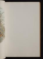 Monograph of the Trochilidae, 1:72