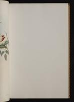 Monograph of the Trochilidae, 1:66