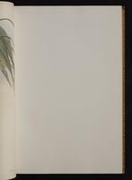 Monograph of the Trochilidae, 1:60