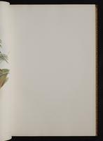 Monograph of the Trochilidae, 1:48