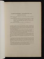 Monograph of the Trochilidae, 1:38