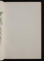 Monograph of the Trochilidae, 1:24