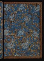 Monograph of the Trochilidae, 1:390