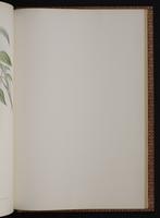 Monograph of the Trochilidae, 1:364