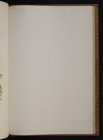 Monograph of the Trochilidae, 1:358