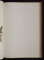 Monograph of the Trochilidae, 1:334