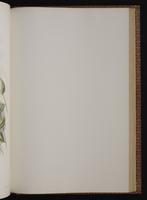 Monograph of the Trochilidae, 1:298