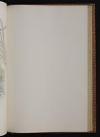 Monograph of the Trochilidae, 1:292