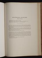 Monograph of the Trochilidae, 1:288