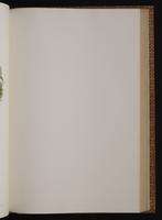 Monograph of the Trochilidae, 1:244