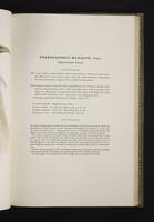 Monograph of the Ramphastidae, 1:142