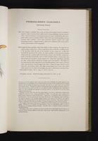 Monograph of the Ramphastidae, 1:134