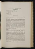 Birds of Great Britain, 1:164