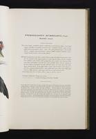 Monograph of the Ramphastidae, 1:106