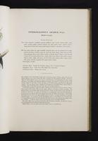 Monograph of the Ramphastidae, 1:98