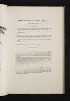 Monograph of the Ramphastidae, 1:94