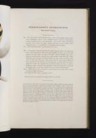 Monograph of the Ramphastidae, 1:90