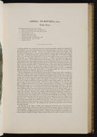 Birds of Great Britain, 1:90