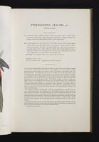 Monograph of the Ramphastidae, 1:78