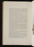 European Green Woodpecker plate 75