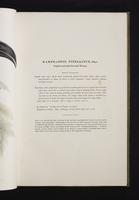 Monograph of the Ramphastidae, 1:64