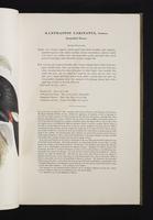 Monograph of the Ramphastidae, 1:56