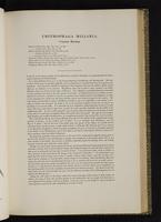 Birds of Great Britain, 1:110