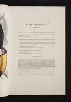 Monograph of the Ramphastidae, 1:52