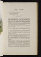 Birds of Great Britain, 1:54