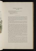 Birds of Great Britain, 1:46