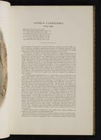 Birds of Great Britain, 1:42