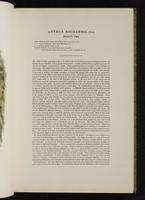 Birds of Great Britain, 1:38