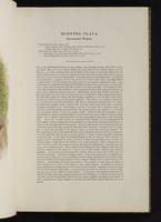 Birds of Great Britain, 1:24