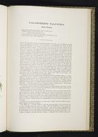 Birds of Great Britain, 1:300