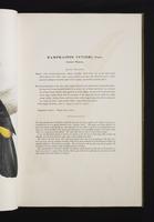 Monograph of the Ramphastidae, 1:36