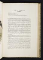 Birds of Great Britain, 1:156