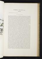 Birds of Great Britain, 1:140