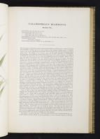 Birds of Great Britain, 1:124