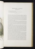 Birds of Great Britain, 1:118