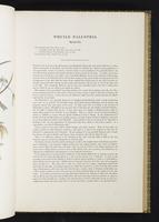 Birds of Great Britain, 1:114