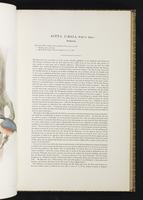 Birds of Great Britain, 1:94