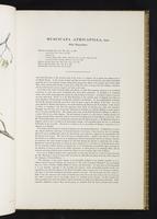 Birds of Great Britain, 1:74