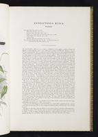 Birds of Great Britain, 1:70