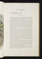 Birds of Great Britain, 1:54