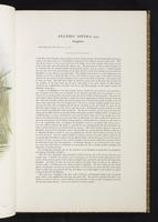 Birds of Great Britain, 1:46